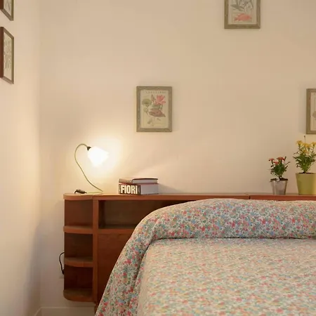 Roommo Viuzzo Delle Canne